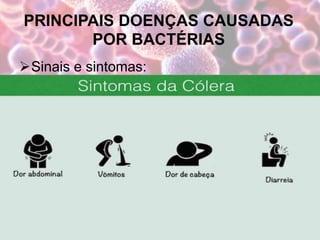 PRINCIPAIS DOENÇAS CAUSADAS
POR BACTÉRIAS
Sinais e sintomas:
 