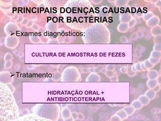 PRINCIPAIS DOENÇAS CAUSADAS
POR BACTÉRIAS
Exames diagnósticos:
Tratamento:
CULTURA DE AMOSTRAS DE FEZES
HIDRATAÇÃO ORAL +
ANTIBIOTICOTERAPIA
 