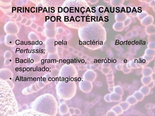 PRINCIPAIS DOENÇAS CAUSADAS
POR BACTÉRIAS
• Causado pela bactéria Bortedella
Pertussis;
• Bacilo gram-negativo, aeróbio e não
esporulado;
• Altamente contagioso.
 