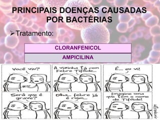 PRINCIPAIS DOENÇAS CAUSADAS
POR BACTÉRIAS
Tratamento:
CLORANFENICOL
AMPICILINA
 