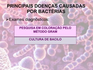PRINCIPAIS DOENÇAS CAUSADAS
POR BACTÉRIAS
Exames diagnósticos:
PESQUISA EM COLORAÇÃO PELO
MÉTODO GRAM
CULTURA DE BACILO
 
