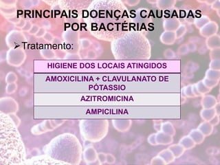 PRINCIPAIS DOENÇAS CAUSADAS
POR BACTÉRIAS
Tratamento:
HIGIENE DOS LOCAIS ATINGIDOS
AMOXICILINA + CLAVULANATO DE
PÓTASSIO
AZITROMICINA
AMPICILINA
 