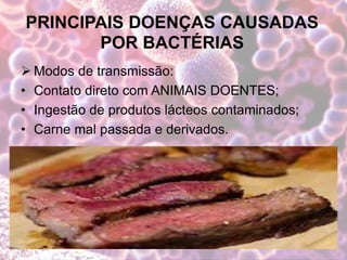 PRINCIPAIS DOENÇAS CAUSADAS
POR BACTÉRIAS
 Modos de transmissão:
• Contato direto com ANIMAIS DOENTES;
• Ingestão de produtos lácteos contaminados;
• Carne mal passada e derivados.
 