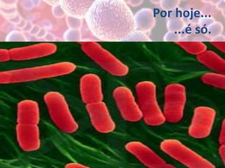 Por hoje...
...é só.
 