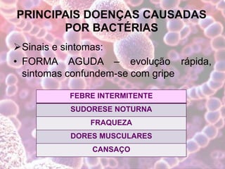 PRINCIPAIS DOENÇAS CAUSADAS
POR BACTÉRIAS
Sinais e sintomas:
• FORMA AGUDA – evolução rápida,
sintomas confundem-se com gripe
FEBRE INTERMITENTE
SUDORESE NOTURNA
FRAQUEZA
DORES MUSCULARES
CANSAÇO
 