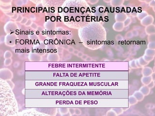 PRINCIPAIS DOENÇAS CAUSADAS
POR BACTÉRIAS
Sinais e sintomas:
• FORMA CRÔNICA – sintomas retornam
mais intensos
FEBRE INTERMITENTE
FALTA DE APETITE
GRANDE FRAQUEZA MUSCULAR
ALTERAÇÕES DA MEMÓRIA
PERDA DE PESO
 