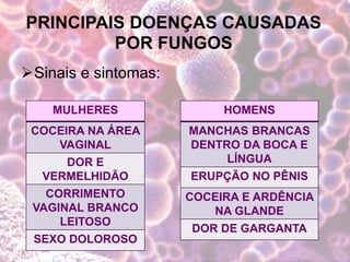 PRINCIPAIS DOENÇAS CAUSADAS
POR FUNGOS
Sinais e sintomas:
HOMENS
MANCHAS BRANCAS
DENTRO DA BOCA E
LÍNGUA
ERUPÇÃO NO PÊNIS
COCEIRA E ARDÊNCIA
NA GLANDE
DOR DE GARGANTA
MULHERES
COCEIRA NA ÁREA
VAGINAL
DOR E
VERMELHIDÃO
CORRIMENTO
VAGINAL BRANCO
LEITOSO
SEXO DOLOROSO
 