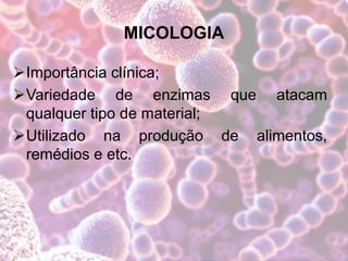 MICOLOGIA
Importância clínica;
Variedade de enzimas que atacam
qualquer tipo de material;
Utilizado na produção de alimentos,
remédios e etc.
 