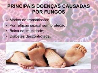 PRINCIPAIS DOENÇAS CAUSADAS
POR FUNGOS
 Modos de transmissão:
• Por relação sexual sem proteção;
• Baixa na imunidade;
• Diabetes descontrolada.
 