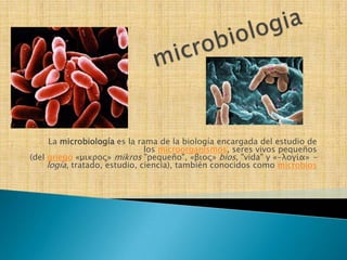 microbiologia La microbiología es la rama de la biología encargada del estudio de los microorganismos, seres vivos pequeños (del griego «μικρος» mikros "pequeño", «βιος» bios, "vida" y «-λογία» -logía, tratado, estudio, ciencia), también conocidos como microbios 