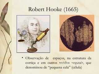 Robert Hooke (1665)
• Observação de espaços, na estrutura da
cortiça e em outros tecidos vegetais, que
denominou de “pequena cela” (célula))
“micrographia” 1665
 