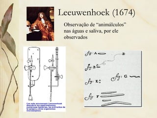 Leeuwenhoek (1674)
Observação de “animálculos”
nas águas e saliva, por ele
observados
 