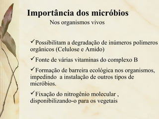 • Nos organismos vivos
Possibilitam a degradação de inúmeros polímeros
orgânicos (Celulose e Amido)
Fonte de várias vitaminas do complexo B
Formação de barreira ecológica nos organismos,
impedindo a instalação de outros tipos de
micróbios.
Fixação do nitrogênio molecular ,
disponibilizando-o para os vegetais
Importância dos micróbios
 