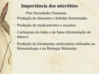 Importância dos micróbios
– Produção de alimentos e bebidas fermentadas
– Produção de medicamentos e insumos
– Curtimento do linho e do fumo (fermentação do
tabaco)
– Produção de ferramentas moleculares utilizadas na
Biotecnologia e na Biologia Molecular
•Nas Sociedades Humanas
 