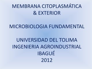 MEMBRANA CITOPLASMÁTICA
      & EXTERIOR

MICROBIOLOGIA FUNDAMENTAL

   UNIVERSIDAD DEL TOLIMA
 INGENIERIA AGROINDUSTRIAL
           IBAGUÉ
             2012
 