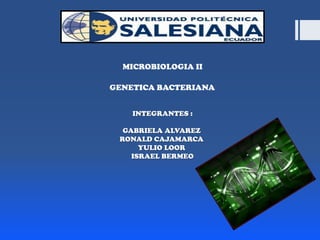 MICROBIOLOGIA II

GENETICA BACTERIANA
INTEGRANTES :
GABRIELA ALVAREZ
RONALD CAJAMARCA
YULIO LOOR
ISRAEL BERMEO

 