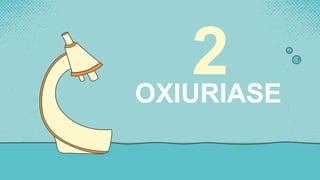 2
OXIURIASE
 