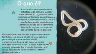 A ascaridiase é o resultado da
infestação do helminto Ascari
lumbricoides no organismo, sendo
mais frequentemente encontrado no
intestino. Aproximadamente 25% da
população mundial possui estes
parasitas, sendo tais ocorrências
típicas de regioes nas quais o
saneamento básico é precário.
O que é?
Este patógeno, conhecido popularmente como
lombriga, tem corpo cilíndrico e alongado, e
pode chegar até 40centímetros de
comprimento. Fêmea são maiores e mais
robustas que os machos; e estes apresentam
a cauda enrolada. Surpreendentemente, um
único hospedeiro pode apresentar até600
destes indivíduos.
 