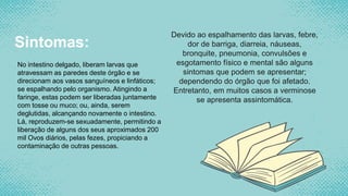 Sintomas:
Devido ao espalhamento das larvas, febre,
dor de barriga, diarreia, náuseas,
bronquite, pneumonia, convulsões e
esgotamento físico e mental são alguns
sintomas que podem se apresentar;
dependendo do órgão que foi afetado.
Entretanto, em muitos casos a verminose
se apresenta assintomática.
No intestino delgado, liberam larvas que
atravessam as paredes deste órgão e se
direcionam aos vasos sanguíneos e linfáticos;
se espalhando pelo organismo. Atingindo a
faringe, estas podem ser liberadas juntamente
com tosse ou muco; ou, ainda, serem
deglutidas, alcançando novamente o intestino.
Lá, reproduzem-se sexuadamente, permitindo a
liberação de alguns dos seus aproximados 200
mil Ovos diários, pelas fezes, propiciando a
contaminação de outras pessoas.
 