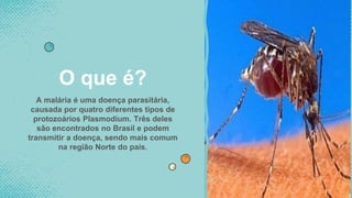 A malária é uma doença parasitária,
causada por quatro diferentes tipos de
protozoários Plasmodium. Três deles
são encontrados no Brasil e podem
transmitir a doença, sendo mais comum
na região Norte do país.
O que é?
 
