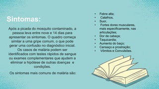 Sintomas:
Após a picada do mosquito contaminado, a
pessoa leva entre nove e 14 dias para
apresentar os sintomas. O quadro começa
similar a uma gripe comum, o que pode
gerar uma confusão no diagnóstico inicial.
Os casos de malária podem ser
identificados com testes rápidos de sangue
ou exames complementares que ajudem a
eliminar a hipótese de outras doenças e
condições.
Os sintomas mais comuns de malária são:
• Febre alta;
• Calafrios,
• Suor,
• Fortes dores musculares,
mais especificamente, nas
articulações;
• Dor de cabeça;
• Taquicardia;
• Aumento do baço;
• Cansaço e prostração;
• Vômitos e Convulsões.
 
