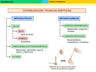 Biología. 2º BachilleratoMICROBIOLOGÍA
MÉTODOS FÍSICOS
RADIACIONES ELECTROMAGNÉTICAS
FILTROS
SECO
HÚMEDO
CALOR
Asas de Henle
Autoclaves
Microondas, ultravioleta, rayos X,
rayos  y electrones.
AGENTES MICROBICIDAS
MÉTODOS QUÍMICOS
AGENTES ESTÁTICOS
Bactericidas, fungicidas o
viricidas
Bacteriostáticos,
fungistáticos o viristáticos
Utilización de un asa de cultivo como
método de transferencia aséptica
ESTERILIZACIÓN: TÉCNICAS ASÉPTICAS
 