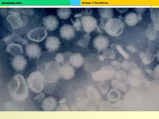 Biología. 2º BachilleratoMICROBIOLOGÍA
 