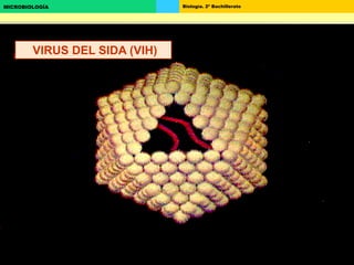 Biología. 2º BachilleratoMICROBIOLOGÍA
VIRUS DEL SIDA (VIH)
 