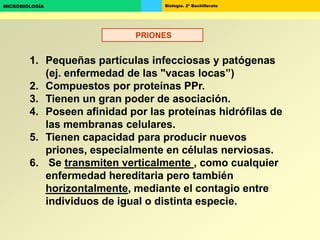 Biología. 2º BachilleratoMICROBIOLOGÍA
1. Pequeñas partículas infecciosas y patógenas
(ej. enfermedad de las "vacas locas”)
2. Compuestos por proteínas PPr.
3. Tienen un gran poder de asociación.
4. Poseen afinidad por las proteínas hidrófilas de
las membranas celulares.
5. Tienen capacidad para producir nuevos
priones, especialmente en células nerviosas.
6. Se transmiten verticalmente , como cualquier
enfermedad hereditaria pero también
horizontalmente, mediante el contagio entre
individuos de igual o distinta especie.
PRIONES
 