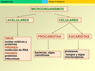 Biología. 2º BachilleratoMICROBIOLOGÍA
CELULARESACELULARES
bacterias, algas
cianofíceas
VIRUS:
ácidos ncléicos y
proteínas
VIROIDES:
moléculas de RNA
PRIONES:
proteínas
infecciosas
MICROORGANISMOS
PROCARIOTAS EUCARIOTAS
protozoos,
hongos y algas
microscópicas.
 