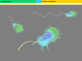 Biología. 2º BachilleratoMICROBIOLOGÍA
 