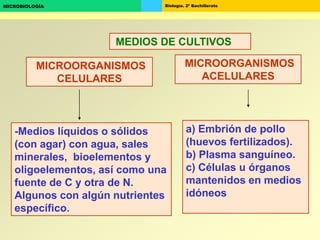 Biología. 2º BachilleratoMICROBIOLOGÍA
MICROORGANISMOS
CELULARES
MICROORGANISMOS
ACELULARES
MEDIOS DE CULTIVOS
a) Embrión de pollo
(huevos fertilizados).
b) Plasma sanguíneo.
c) Células u órganos
mantenidos en medios
idóneos
-Medios líquidos o sólidos
(con agar) con agua, sales
minerales, bioelementos y
oligoelementos, así como una
fuente de C y otra de N.
Algunos con algún nutrientes
específico.
 
