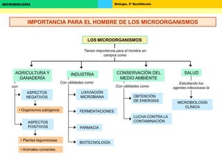 Biología. 2º BachilleratoMICROBIOLOGÍA
AGRICULTURA Y
GANADERÍA
ASPECTOS
NEGATIVOS
ASPECTOS
POSITIVOS
LIXIVIACIÓN
MICROBIANA
FERMENTACIONES
FARMACIA
BIOTECNOLOGÍA
OBTENCIÓN
DE ENERGÍAS
LUCHA CONTRA LA
CONTAMINACIÓN
MICROBIOLOGÍA
CLÍNICA
CONSERVACÍÓN DEL
MEDIO AMBIENTE
SALUD
Tienen importancia para el hombre en
campos como
LOS MICROORGANISMOS
• Organismos patógenos
• Plantas leguminosas
• Animales rumiantes
con
INDUSTRIA
Con utilidades como
Con utilidades como
Estudiando los
agentes infecciosos la
IMPORTANCIA PARA EL HOMBRE DE LOS MICROORGANISMOS
 