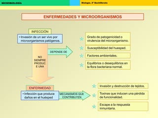 Biología. 2º BachilleratoMICROBIOLOGÍA
MECANISMOS QUE
CONTRIBUYEN
DEPENDE DE
NO
SIEMPRE
PRODUC
E UNA
• Infección que produce
daños en el huésped
• Invasión de un ser vivo por
microorganismos patógenos.
INFECCIÓN
ENFERMEDAD
Susceptibilidad del huesped.
Grado de patogenicidad o
virulencia del microorganismo.
Factores ambientales.
Equilibrios o desequilibrios en
la flora bacteriana normal.
Invasión y destrucción de tejidos.
Toxinas que inducen una pérdida
de funcionalidad.
Escape a la respuesta
inmunitaria.
ENFERMEDADES Y MICROORGANISMOS
 
