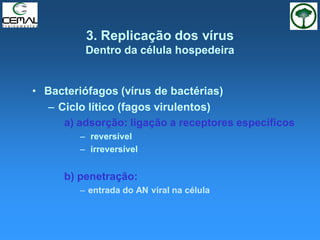 3. Replicação dos vírus
Dentro da célula hospedeira
• Bacteriófagos (vírus de bactérias)
– Ciclo lítico (fagos virulentos)
a) adsorção: ligação a receptores específicos
– reversível
– irreversível
b) penetração:
– entrada do AN viral na célula
 