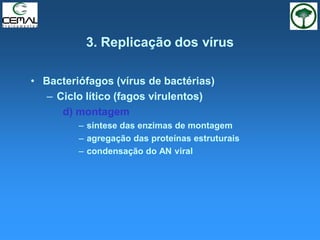 3. Replicação dos vírus
• Bacteriófagos (vírus de bactérias)
– Ciclo lítico (fagos virulentos)
d) montagem
– síntese das enzimas de montagem
– agregação das proteínas estruturais
– condensação do AN viral
 