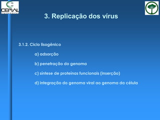 3.1.2. Ciclo lisogênico
a) adsorção
b) penetração do genoma
c) síntese de proteínas funcionais (inserção)
d) integração do genoma viral ao genoma da célula
3. Replicação dos vírus
 