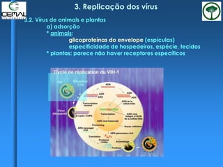 3. Replicação dos vírus
3.2. Vírus de animais e plantas
a) adsorção
* animais:
glicoproteínas do envelope (espículas)
especificidade de hospedeiros, espécie, tecidos
* plantas: parece não haver receptores específicos
 