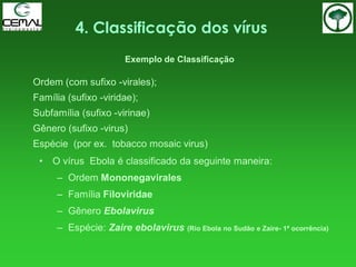 Ordem (com sufixo -virales);
Família (sufixo -viridae);
Subfamília (sufixo -virinae)
Gênero (sufixo -virus)
Espécie (por ex. tobacco mosaic virus)
Exemplo de Classificação
• O vírus Ebola é classificado da seguinte maneira:
– Ordem Mononegavirales
– Família Filoviridae
– Gênero Ebolavirus
– Espécie: Zaire ebolavirus (Rio Ebola no Sudão e Zaire- 1ª ocorrência)
4. Classificação dos vírus
 