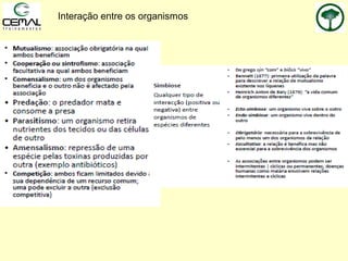 Interação entre os organismos
 