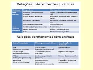 Microbiologia aplicada aula03 microrganismos