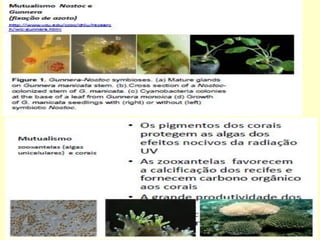 Microbiologia aplicada aula03 microrganismos