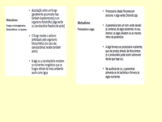 Microbiologia aplicada aula03 microrganismos