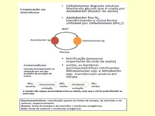 Microbiologia aplicada aula03 microrganismos