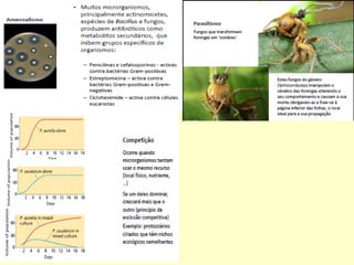 Microbiologia aplicada aula03 microrganismos