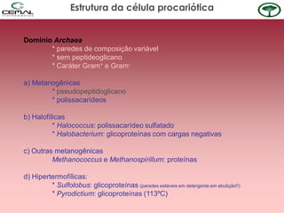 Domínio Archaea
* paredes de composição variável
* sem peptideoglicano
* Caráter Gram+ e Gram-
a) Metanogênicas
* pseudopeptidoglicano
* polissacarídeos
b) Halofílicas
* Halococcus: polissacarídeo sulfatado
* Halobacterium: glicoproteínas com cargas negativas
c) Outras metanogênicas
Methanococcus e Methanospirillum: proteínas
d) Hipertermofílicas:
* Sulfolobus: glicoproteínas (paredes estáveis em detergente em ebulição!!)
* Pyrodictium: glicoproteínas (113ºC)
Estrutura da célula procariótica
 