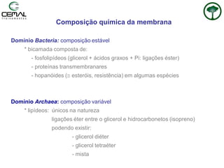 Composição química da membrana
Domínio Bacteria: composição estável
* bicamada composta de:
- fosfolipídeos (glicerol + ácidos graxos + Pi: ligações éster)
- proteínas transmembranares
- hopanóides ( esteróis, resistência) em algumas espécies
Domínio Archaea: composição variável
* lipídeos: únicos na natureza
ligações éter entre o glicerol e hidrocarbonetos (isopreno)
podendo existir:
- glicerol diéter
- glicerol tetraéter
- mista
 