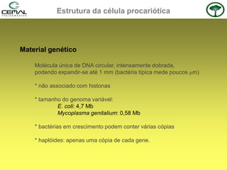 Estrutura da célula procariótica
Material genético
Molécula única de DNA circular, intensamente dobrada,
podendo expandir-se até 1 mm (bactéria típica mede poucos m)
* não associado com histonas
* tamanho do genoma variável:
E. coli: 4,7 Mb
Mycoplasma genitalium: 0,58 Mb
* bactérias em crescimento podem conter várias cópias
* haplóides: apenas uma cópia de cada gene.
 