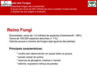 Reino Fungi
Principais características:
* micélio bem desenvolvido em quase todos os grupos
* parede celular de quitina
* reservas de glicogênio, trealose e manitol
* esteróis: ergosterol (reforço da parede)
Diversidade: cerca de 1,5 milhões de espécies (Hawksworth, 1991)
Cerca de 100.000 espécies descritas (< 7 %)
Calcula-se que o número de fungos seja igual ao das plantas.
Classificação dos Fungos
Classificar fungos não é tarefa fácil.
O grupo tem cerca de 600 milhões de anos e existem muitas dúvidas
a respeito de sua origem e evolução.
 