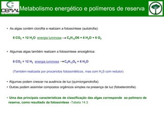 • As algas contém clorofila e realizam a fotossíntese (autotrofia):
6 CO2 + 12 H2O energia luminosa C6H12O6 + 6 H2O + 6 O2
• Algumas algas também realizam a fotossíntese anoxigênica:
6 CO2 + 12 H2 energia luminosa C6H12O6 + 6 H2O
(Também realizada por procariotos fotossintéticos, mas com H2S com redutor)
• Algumas podem crescer na ausência de luz (quimiorganotrofia).
• Outras podem assimilar compostos orgânicos simples na presença de luz (fotoeterotrofia).
• Uma das principais características de classificação das algas corresponde ao polímero de
reserva, como resultado da fotossíntese -Tabela 14.3
Metabolismo energético e polímeros de reserva
 